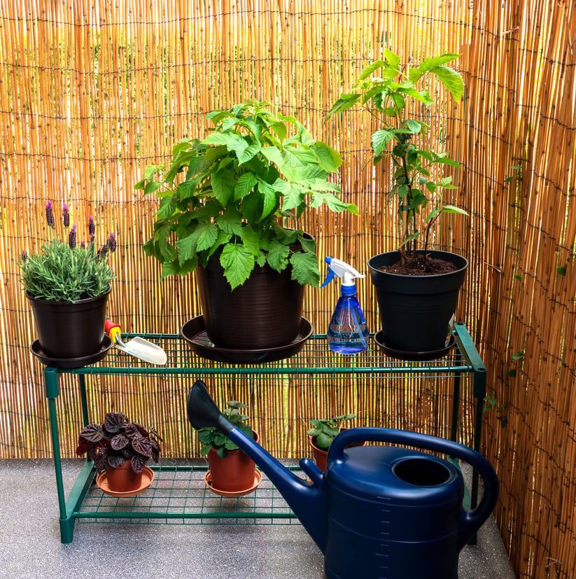 Urban balcony garden