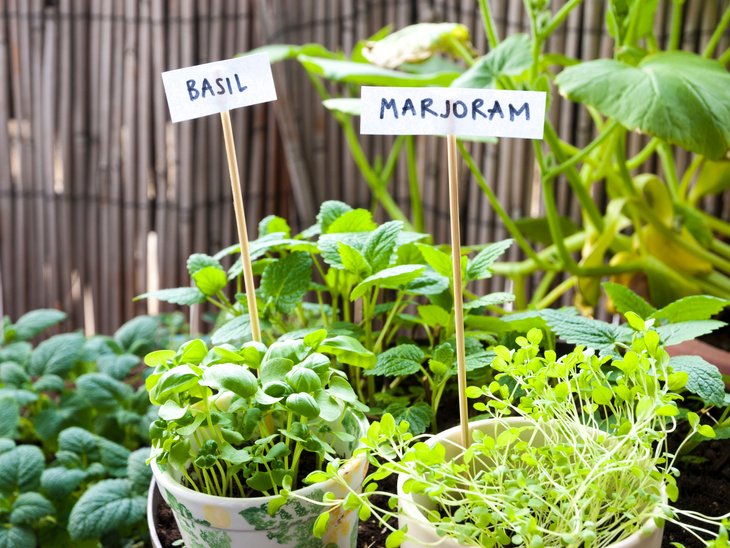 Balcony herb garden