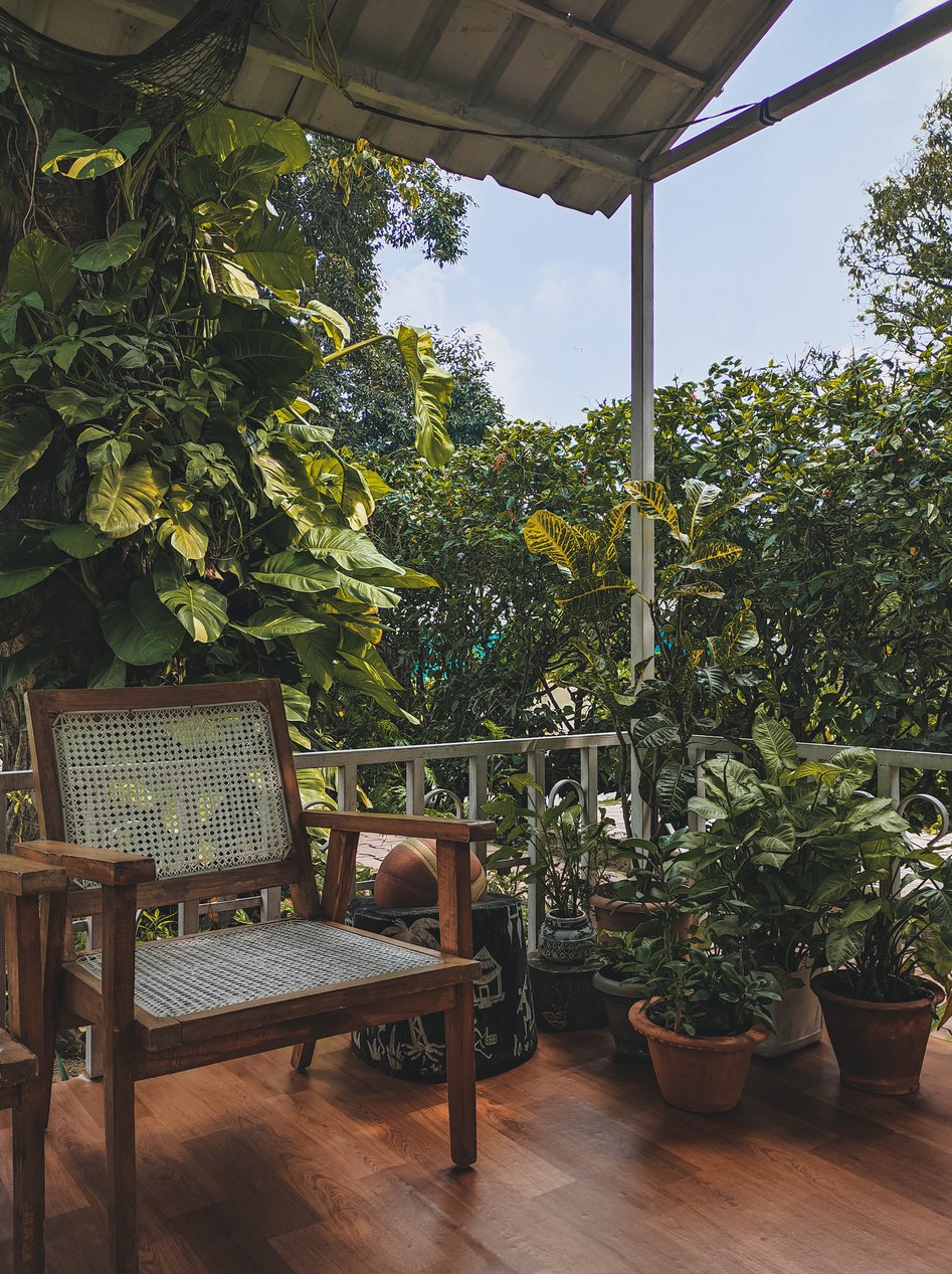 Brown Wooden Armchair Near Green Plants